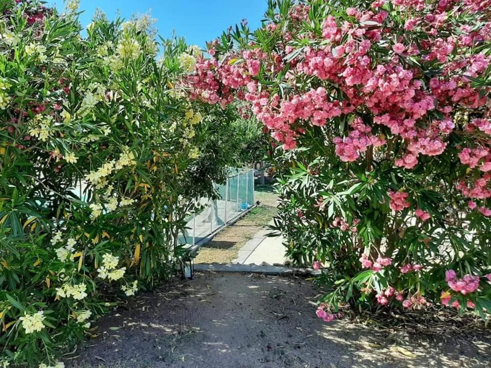 Orasi Sartene Gite Casa Fiurita Ngoại thất bức ảnh