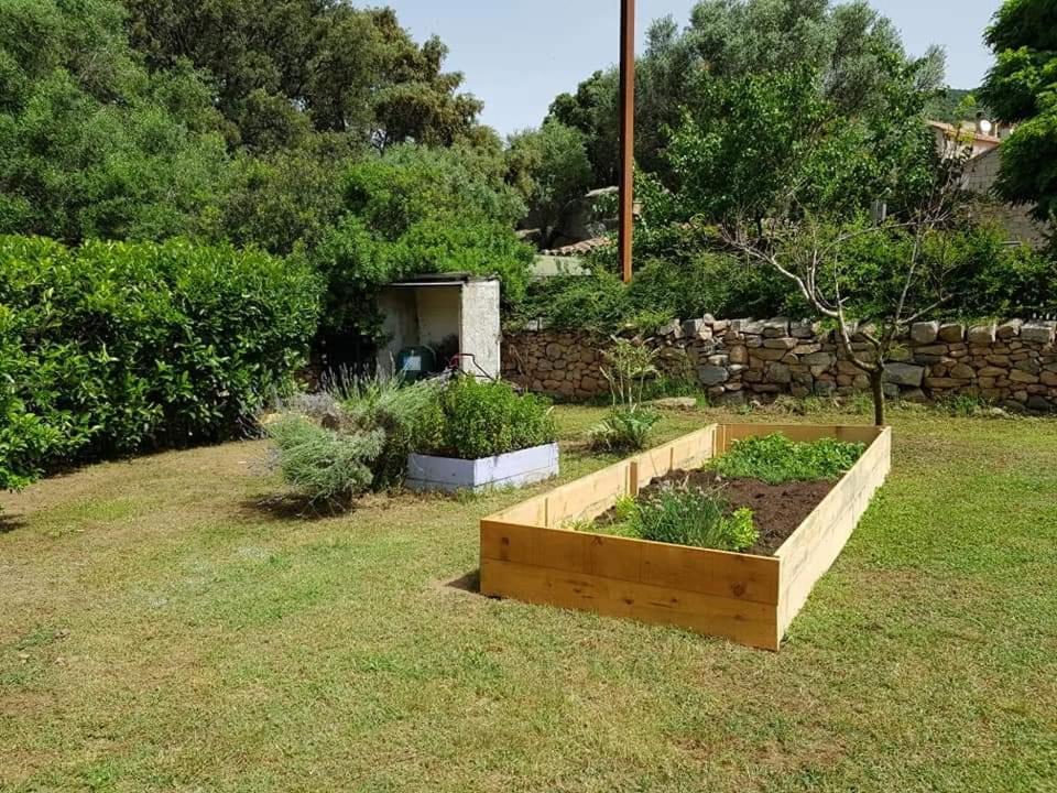 Orasi Sartene Gite Casa Fiurita Ngoại thất bức ảnh